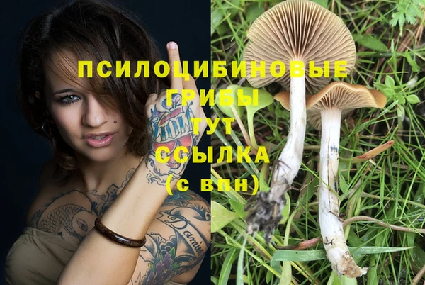 крисы Лихославль