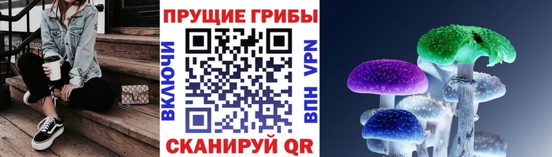 Псилоцибиновые грибы Psilocybine cubensis  Шиханы 